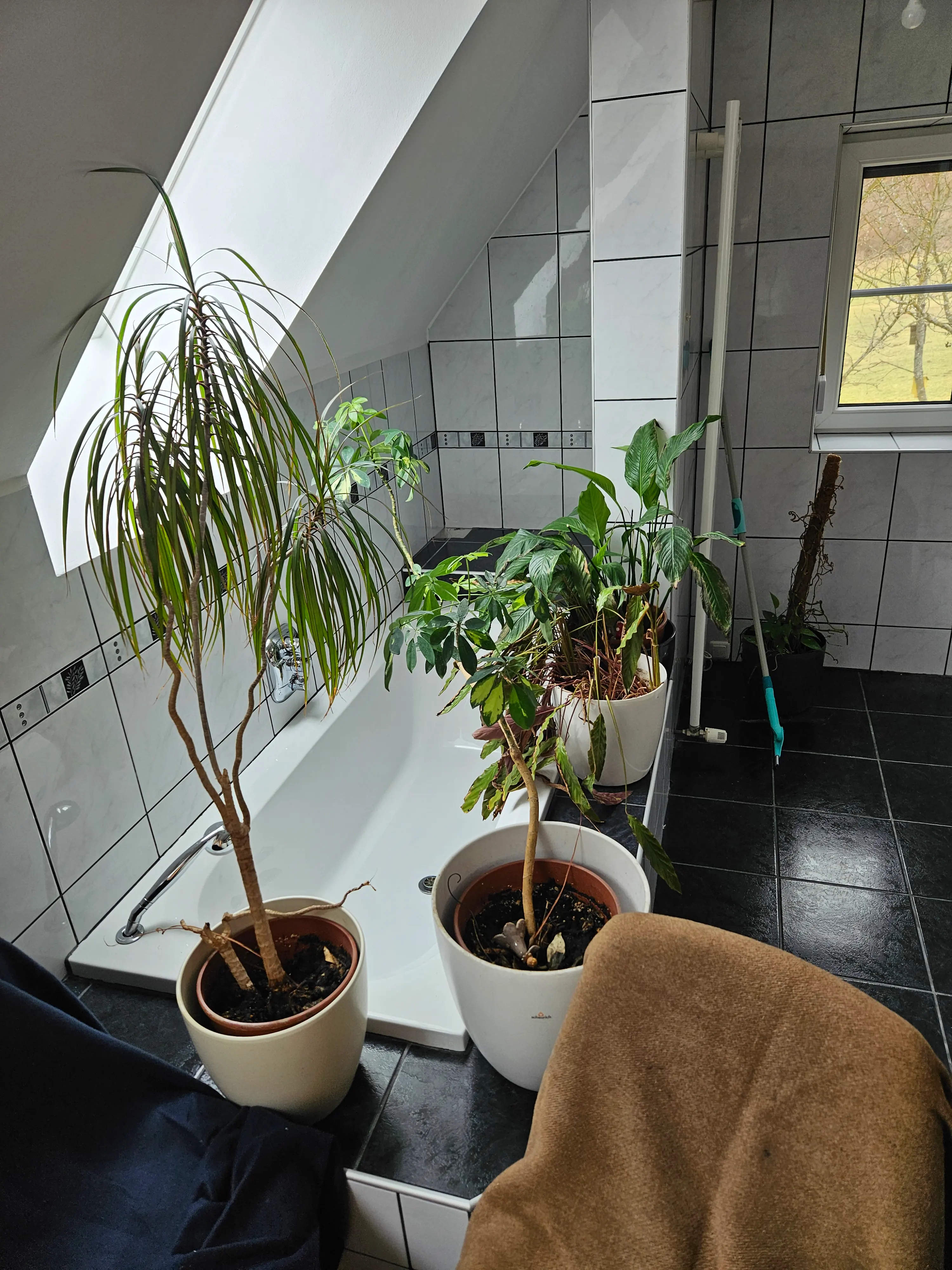 Badewanne vor Sanierung